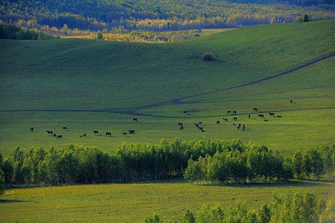 内蒙古旅游线路内蒙古五天四晚旅游攻略详细攻略一定记得收藏