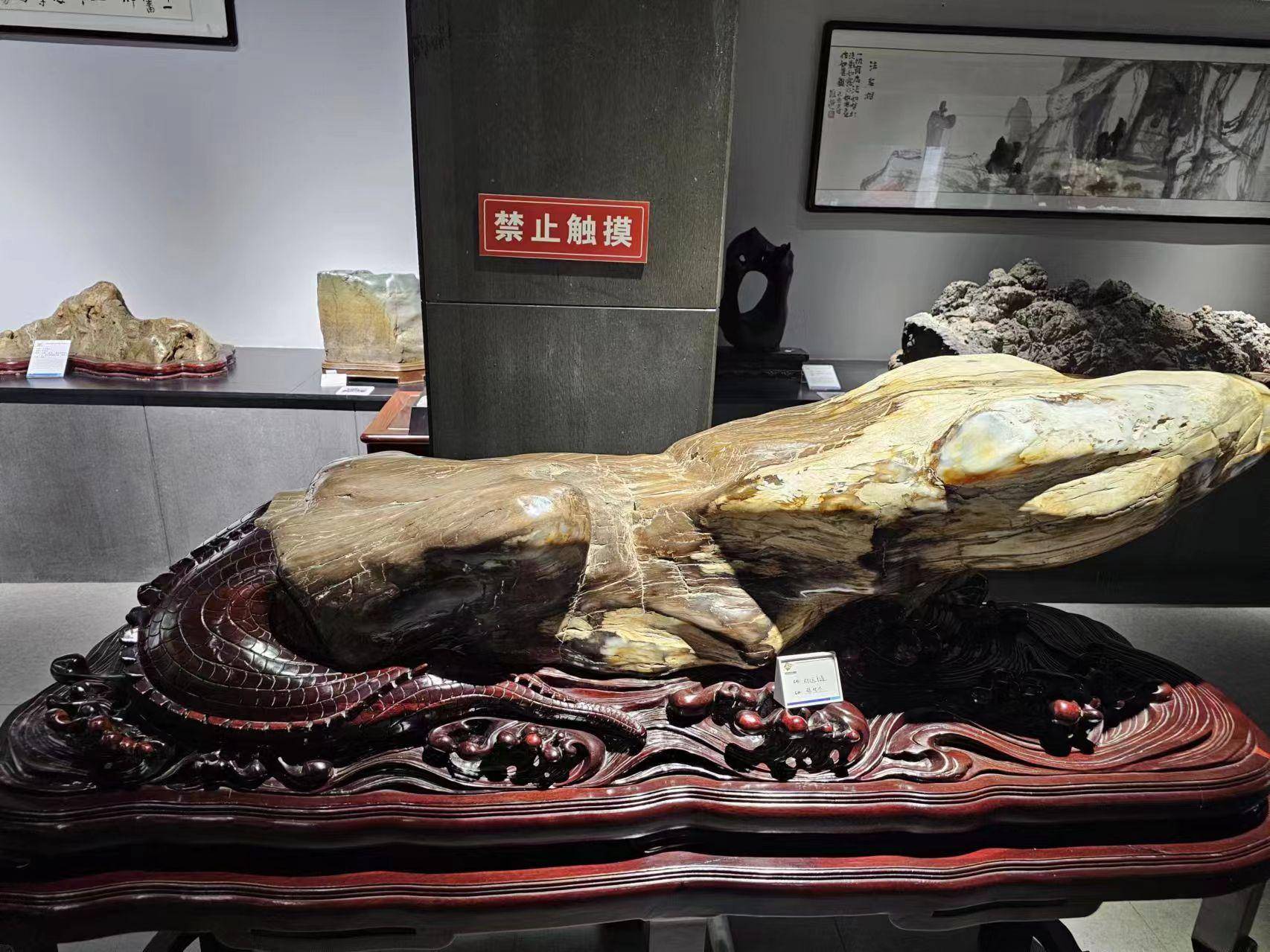 西安高陵奇石博物馆常年免费对外开放.