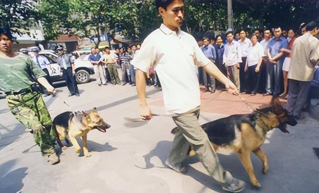 当时,张书海走在最前边,他先是将事先准备好的炸药包挂在防弹玻璃上