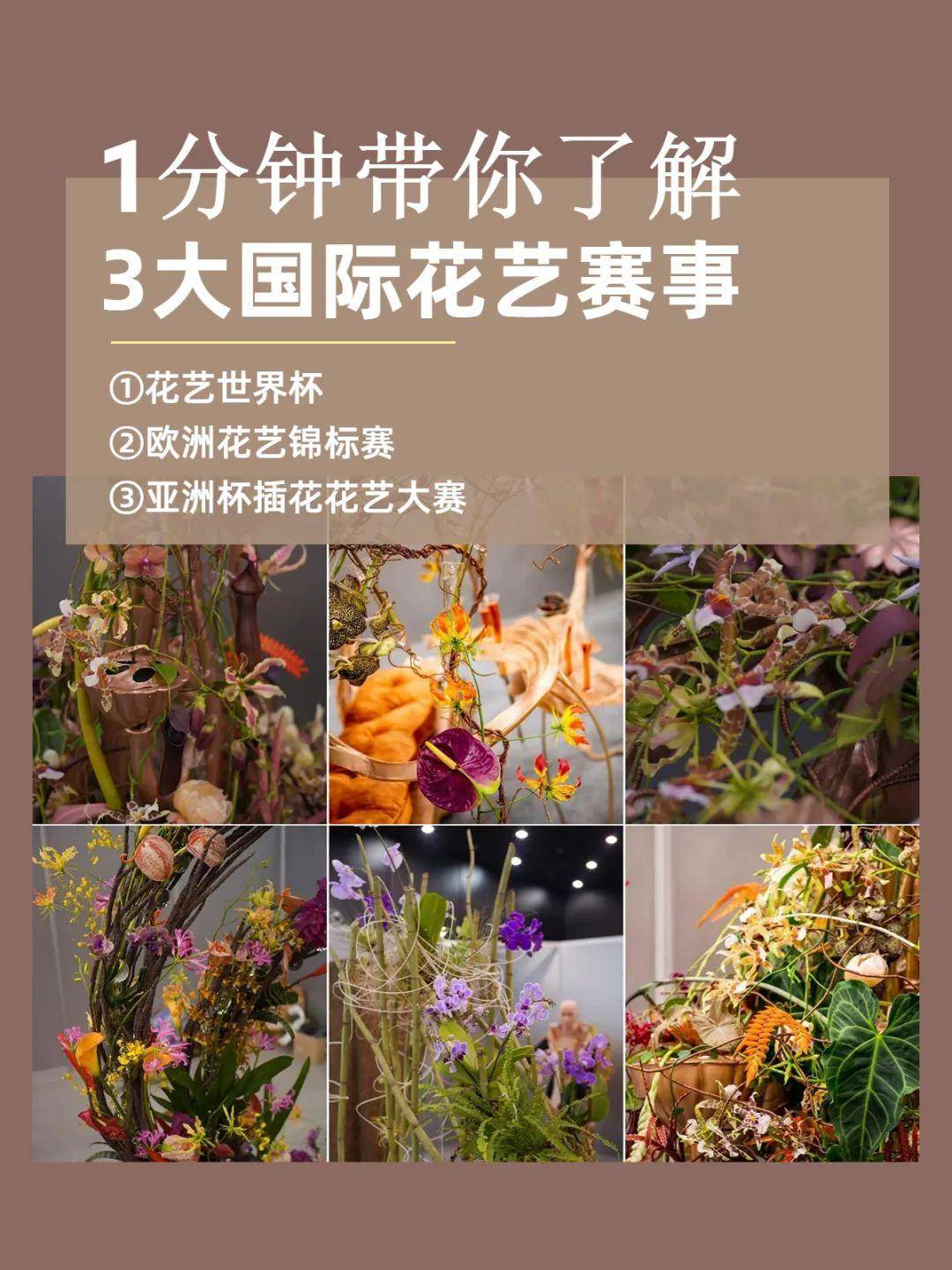 极具影响力的国际花艺赛事总结