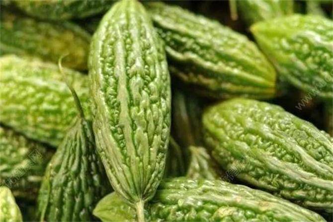 原创家里苦瓜吃不完这样存起来冬天吃和新鲜的一样保存一年不坏