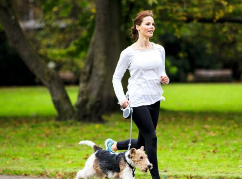 原创遛狗要注意的几点尤其是最后一点很多人都在犯