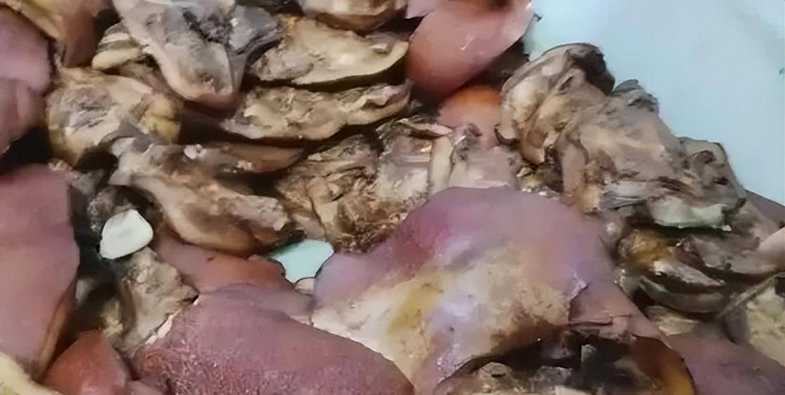 个"瓜",一个比一个离谱,为了家人健康,请停止食用_奶茶_什么_梅菜扣肉