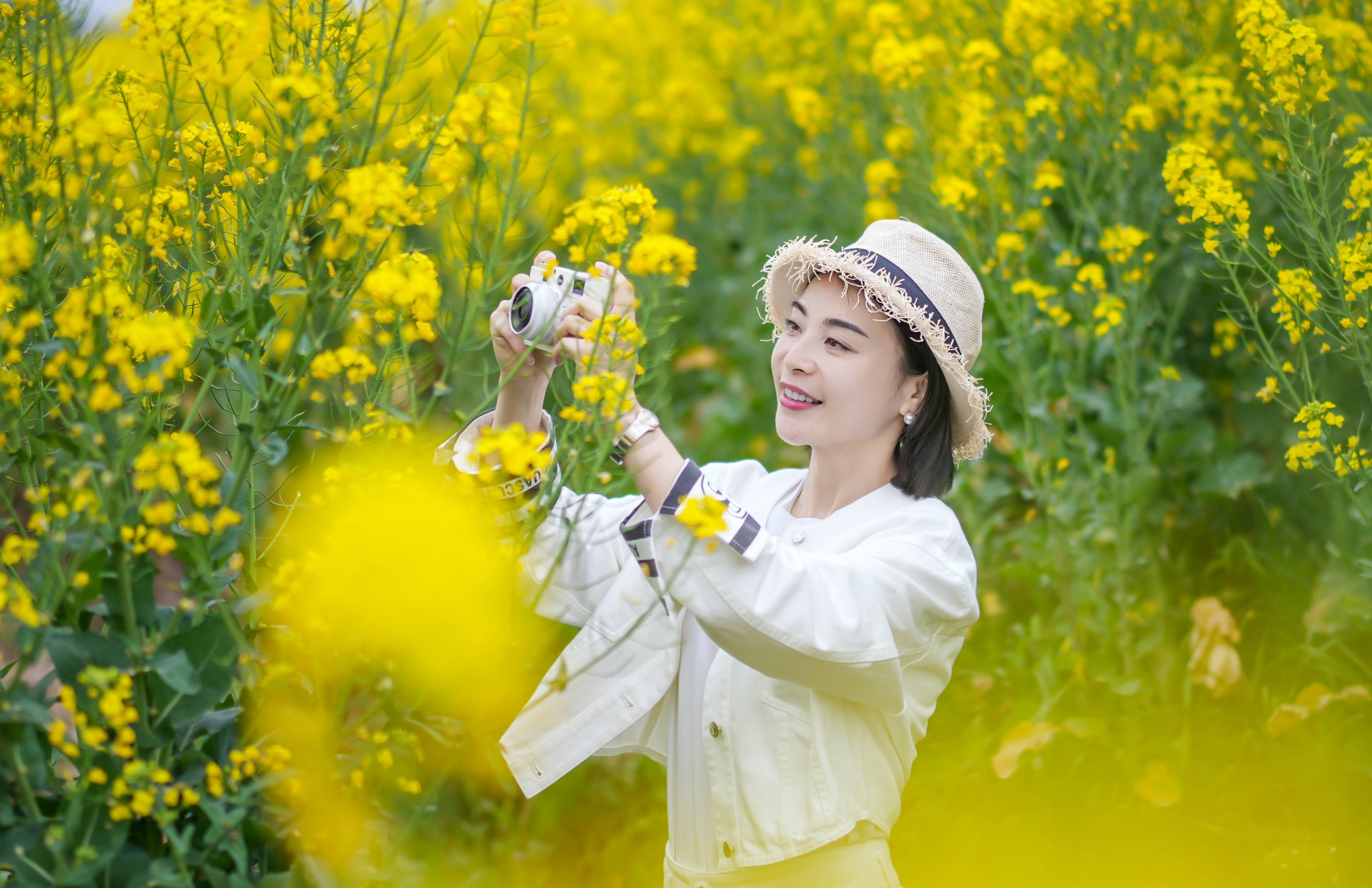 拍摄油菜花的技巧图片