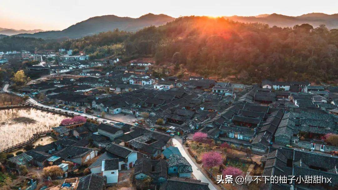 龙岩_台品_邓家坊