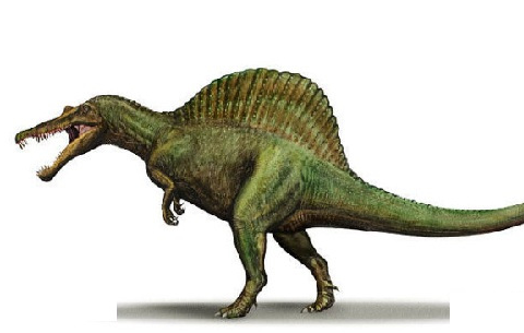 原创最强的恐龙是什么龙最厉害的恐龙第一名你猜到了吗