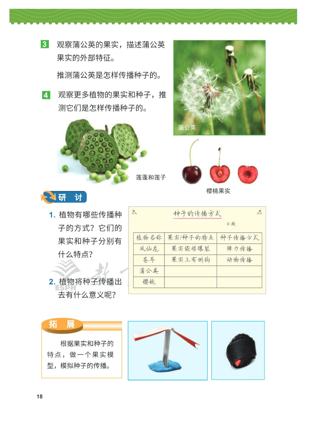 教科版四年级下册科学电子课本(高清完整版)