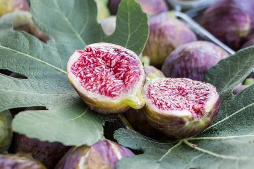 虽然它个头小,功效却不少,而且还可以防癌_食用_无花果_抗癌