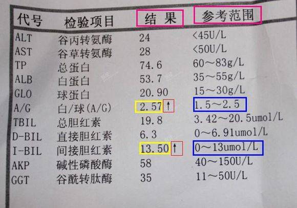 肝功能检查中,如果以下这三处指标异常,建议做进一步检查