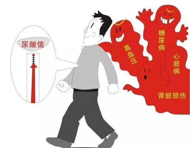 尿酸高的人不能吃羊肉?