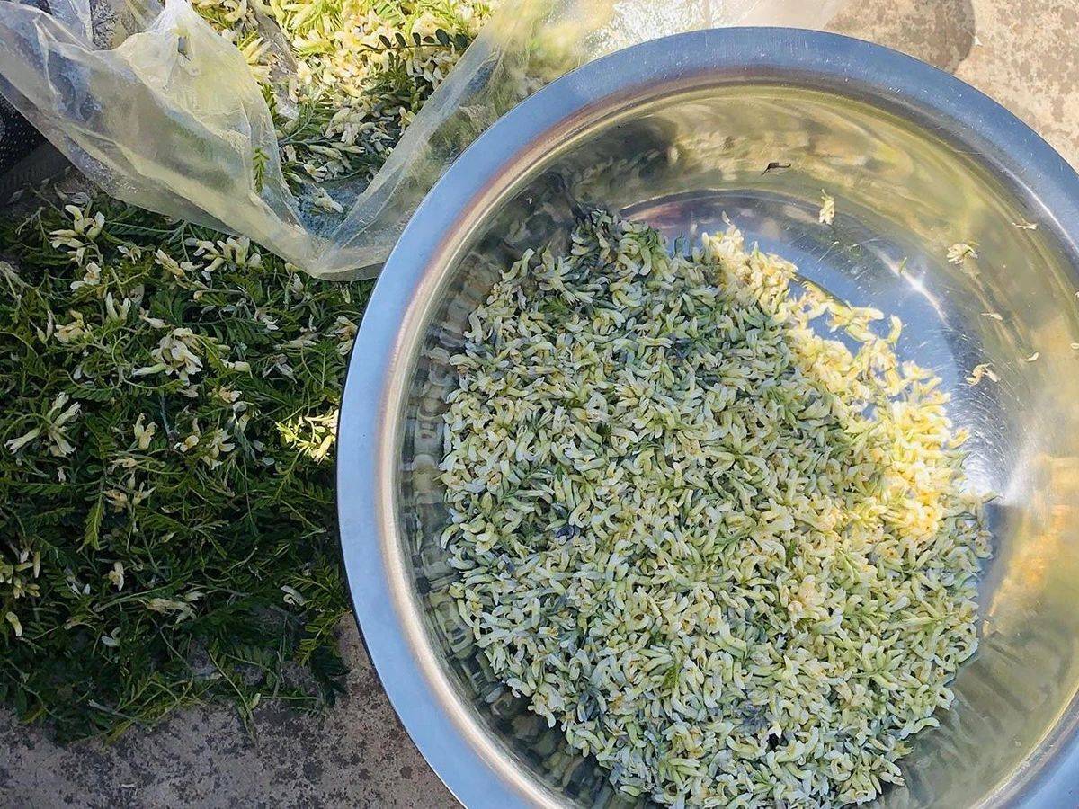 这种带刺的花曾是充饥野菜味道很苦如今却成山珍美味你吃过吗