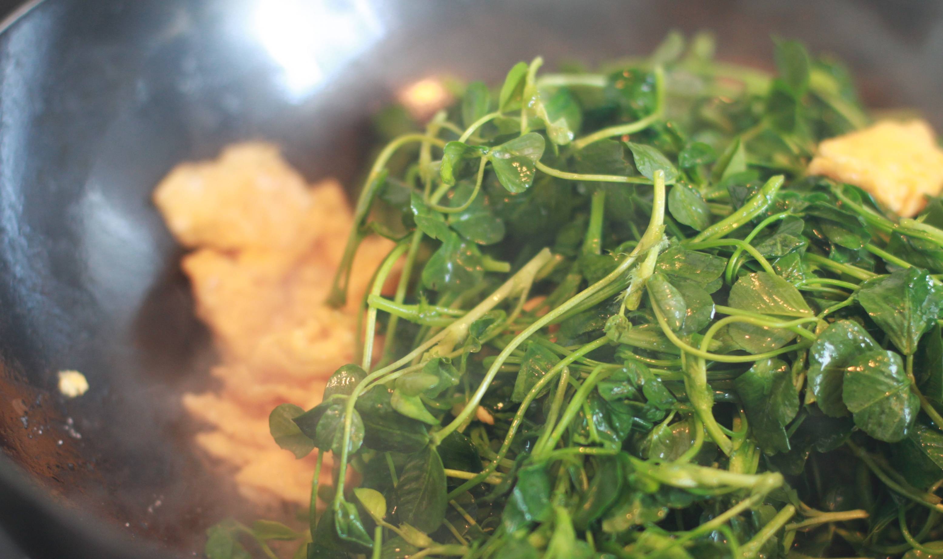 金花菜原名苜蓿,也称为三叶草,草头是上海人的称呼.