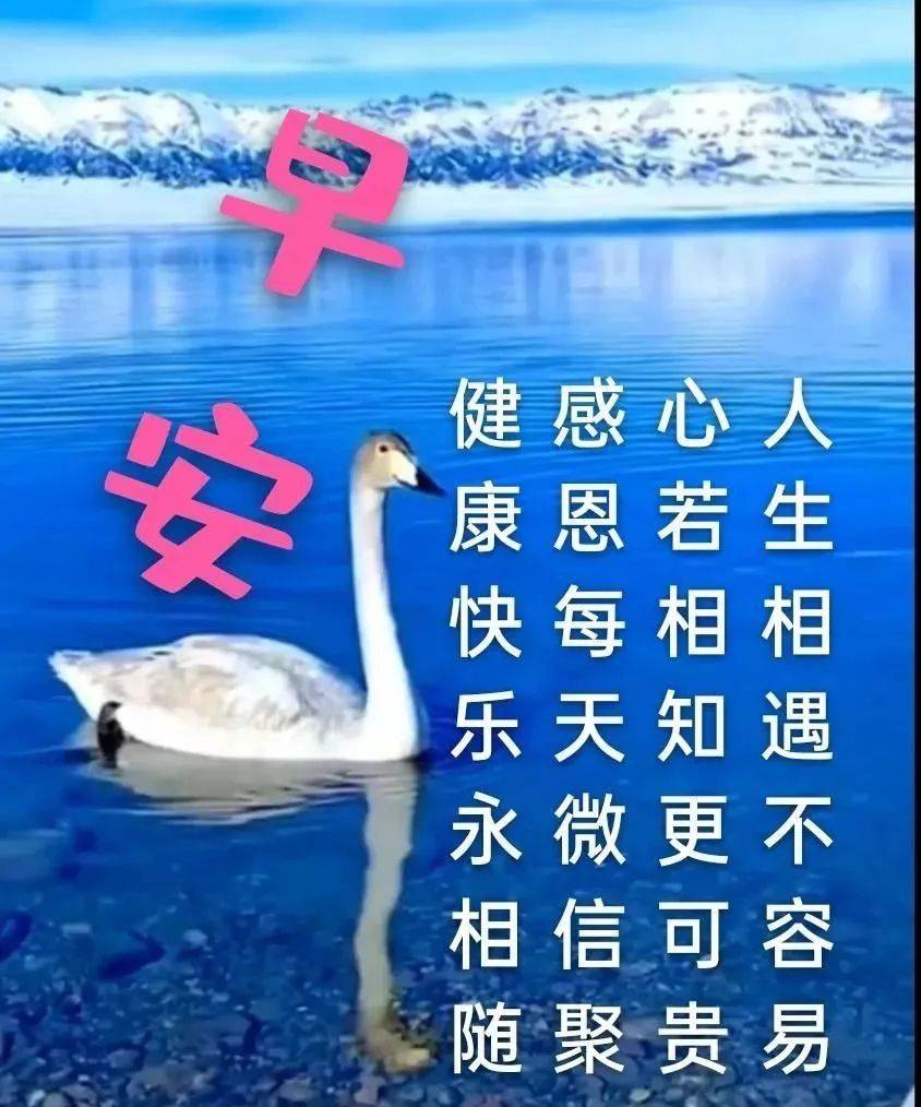 早安最火图片唯美春天图片