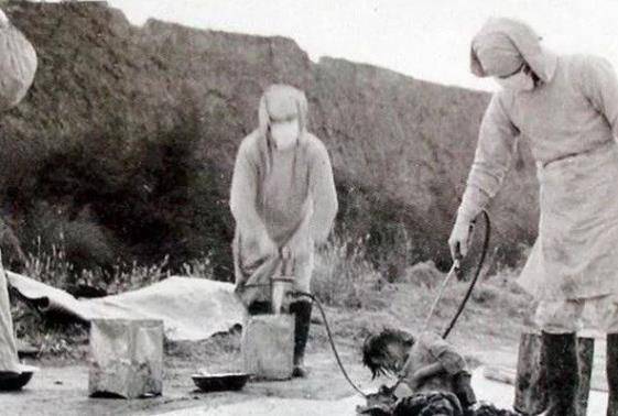 原创731部队所说的圆木是什么实验前还被拍真空照片