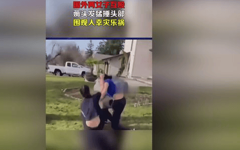 两女子街头互殴图片