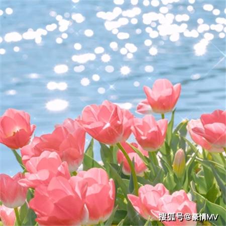 2024春季唯美的背景图片_温柔又治愈朋友圈图片素材