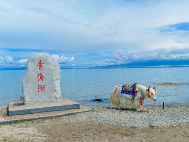 青海湖,塔尔寺,翡翠湖,鸣沙山,莫高窟,嘉峪关,卓尔山,门源.