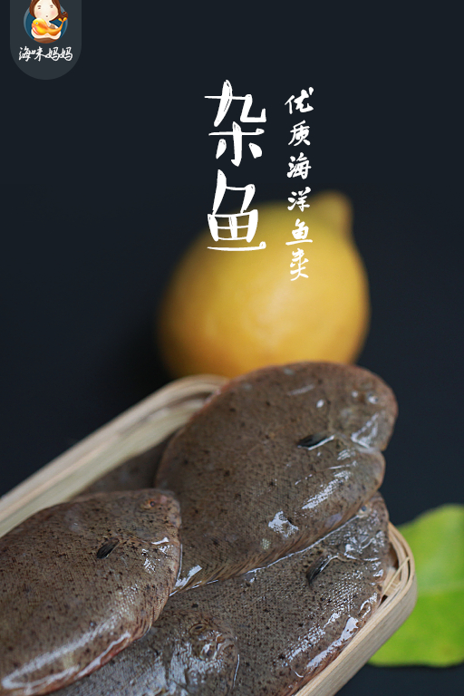 当地人叫假死猪,也有牛尾鱼,金钱