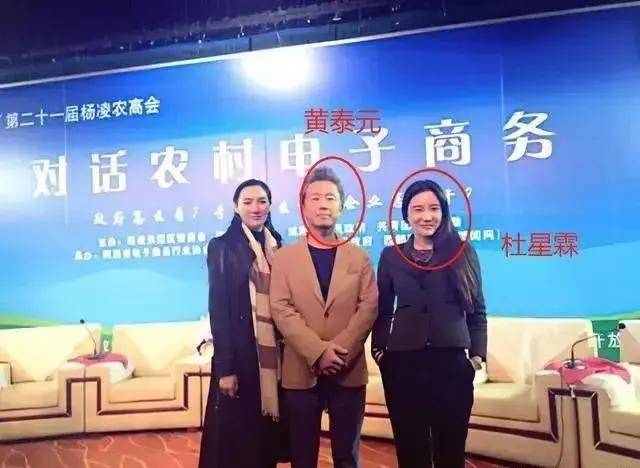 最正确的决定,就是与富豪老公离婚,嫁给张纪中_黄泰元_樊馨蔓_马云