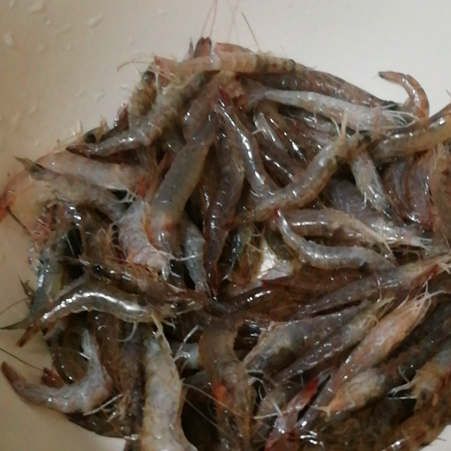 春天里的河虾肉质鲜美和韭菜苔一起炒着吃下酒又下饭