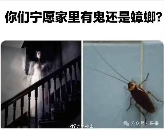 很抱歉,请在手机微信登录投票宁愿家里有鬼还是蟑螂 单选鬼蟑螂你会