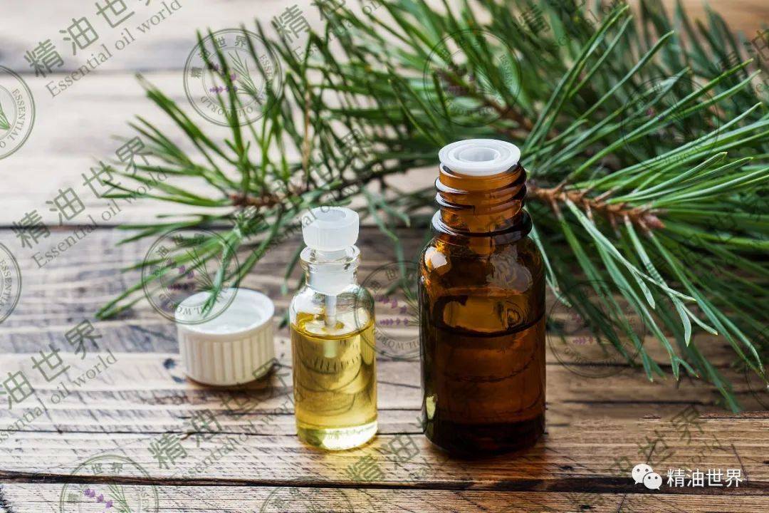 护发,生发,养护头皮,就用这六款精油!_头发_研究_压力