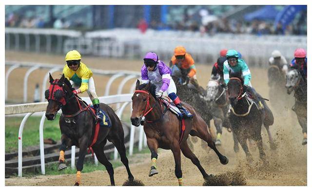 中国速度赛马大奖赛武汉扬蹄总奖金额刷新纪录