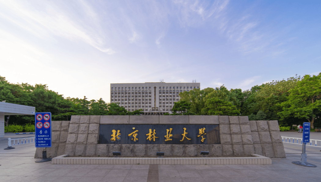 21所211大学的黄金专业实力比肩985附往年山东录取分数