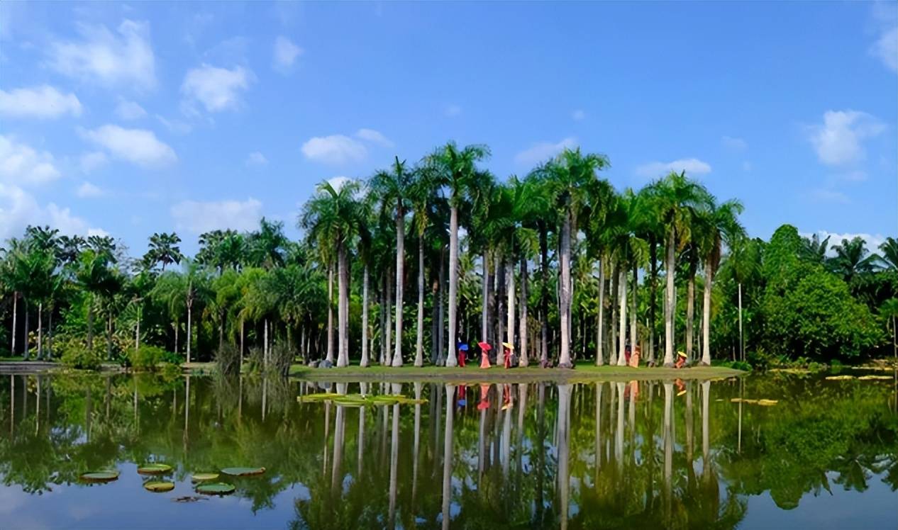 原创西双版纳热带植物园蜉蝣爆发密密麻麻遮天盖地对人有影响吗