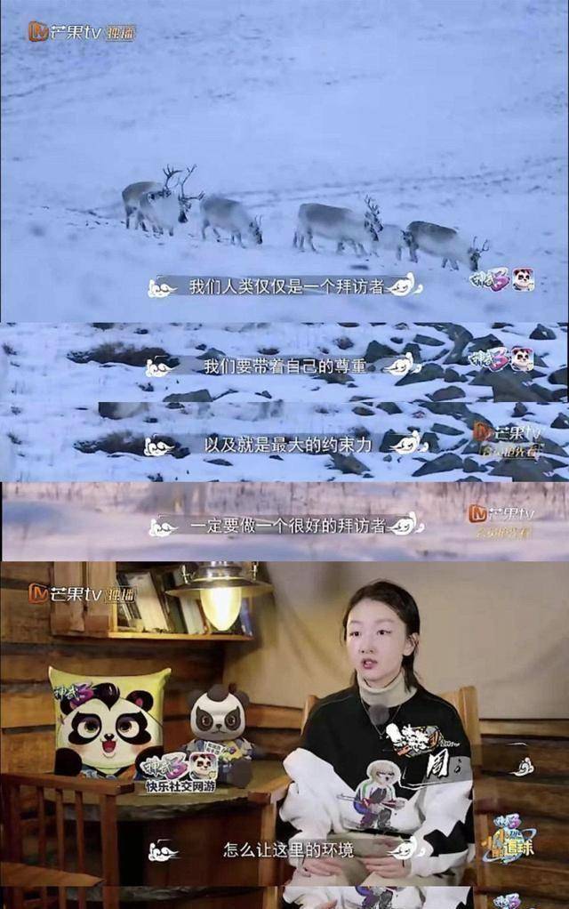 原创神仙综艺来了看黄子韬周冬雨等人这样追球