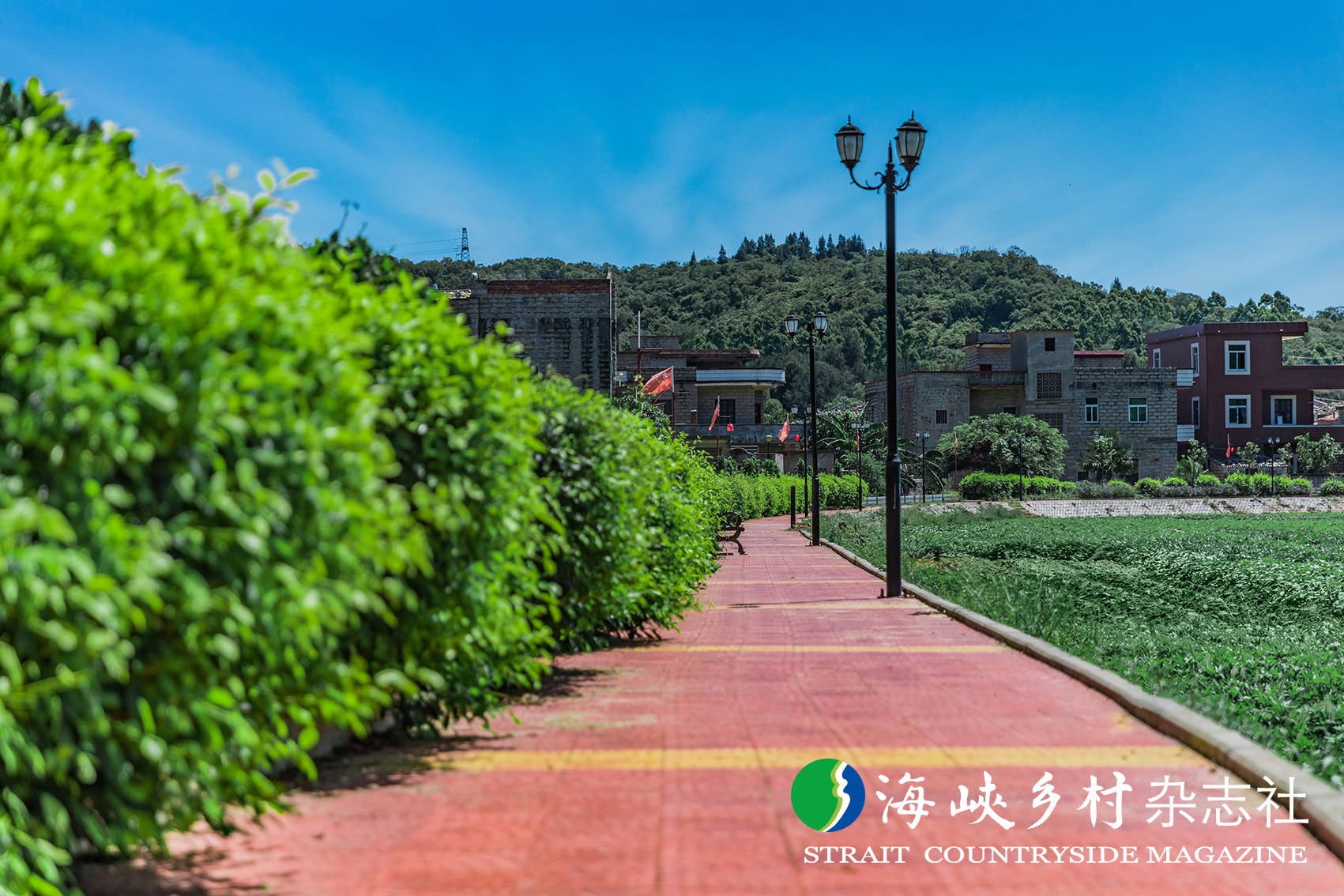 金牌旅游村福建平潭红卫村山水相逢古韵悠悠