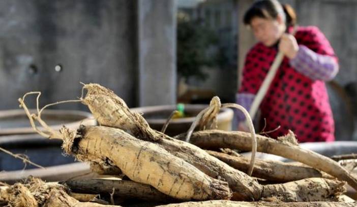 医生不会告诉你,肝脏最爱这几种食物,每天吃一点,肝脏越来越好_养肝_