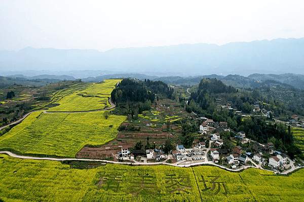 金海银浪靓山寨吸引游客促发展