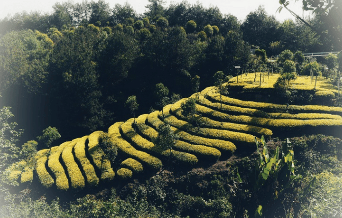 洛龙古镇洛龙古镇位于贵州道真县北部边陲的洛龙镇,南接忠信镇,西连