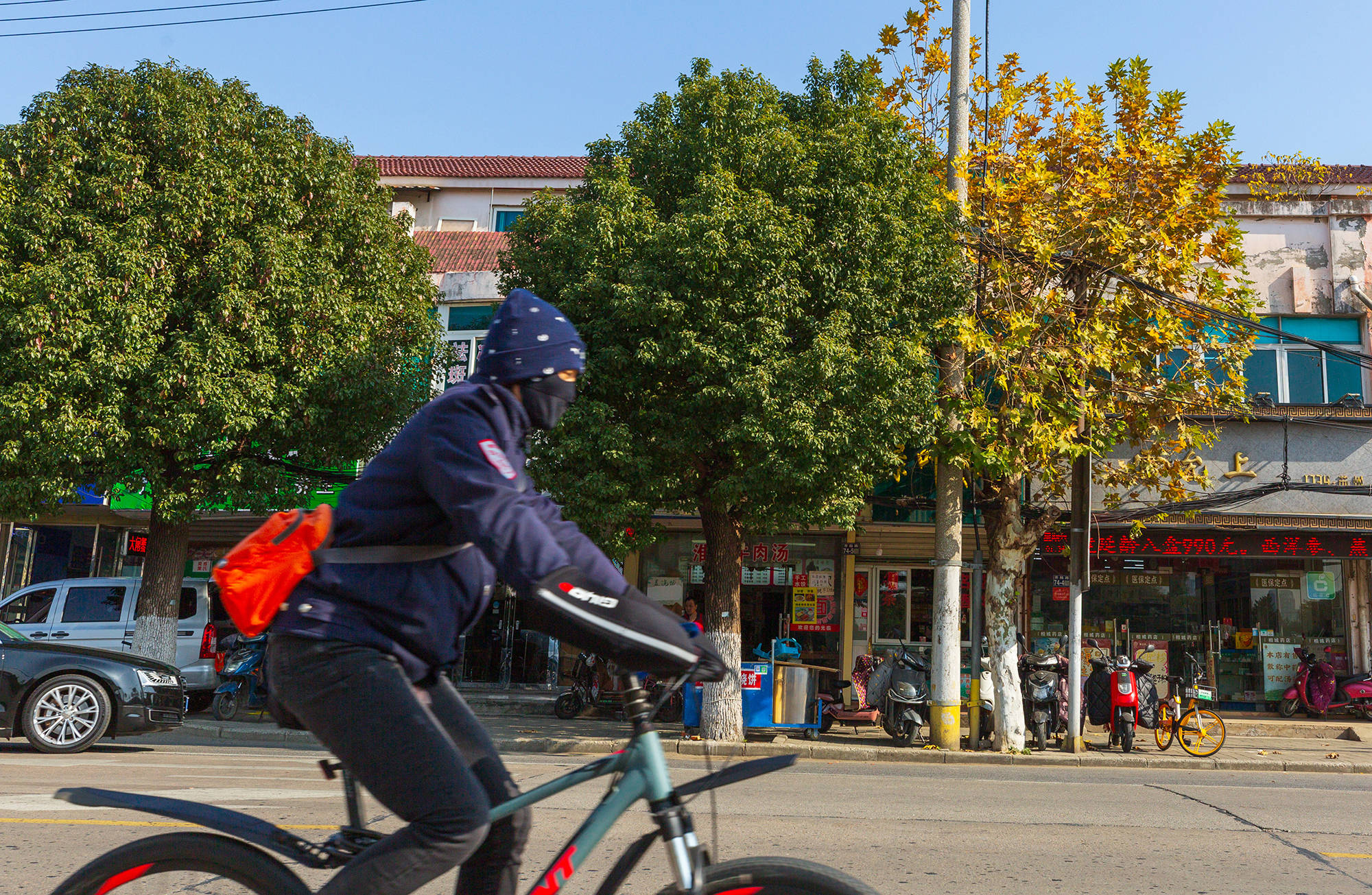 齐门北大街的法桐树藏着一座城最初的记忆
