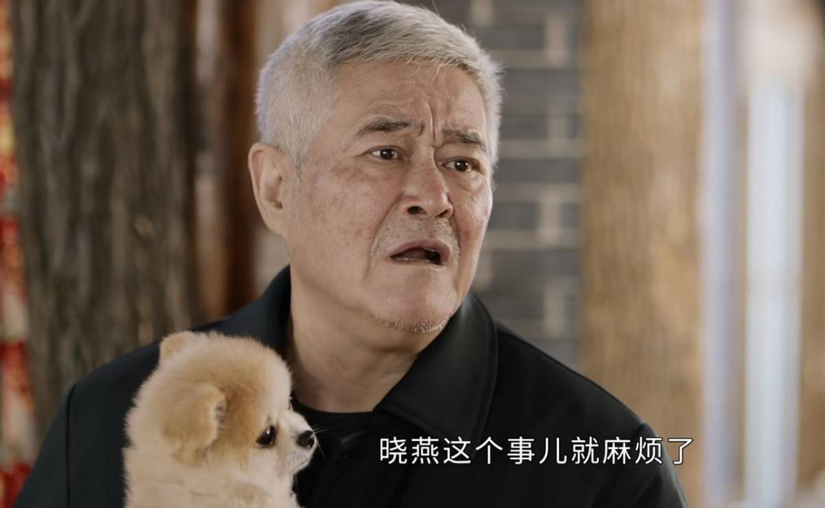 国产喜剧当真是任重而道远,几乎没有几部拿得出手的作品,赵本山的《鹊