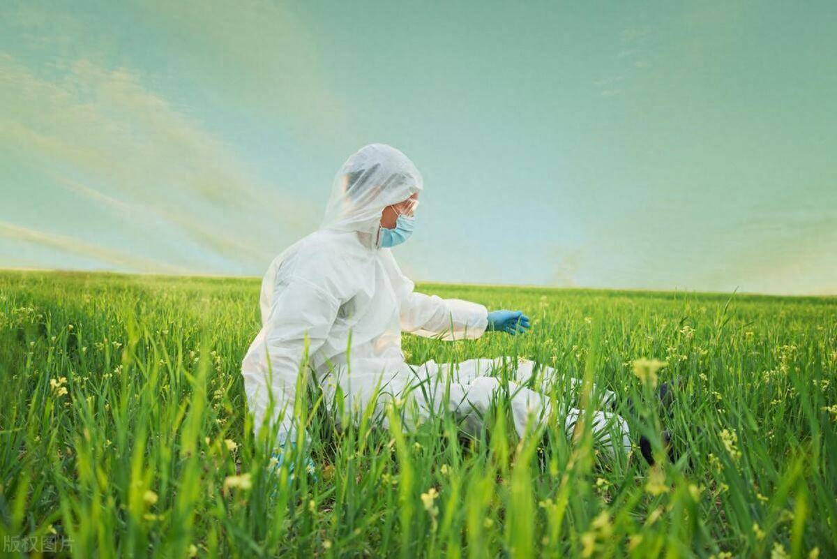 植保员怎么考有什么作用报考政策条件要求