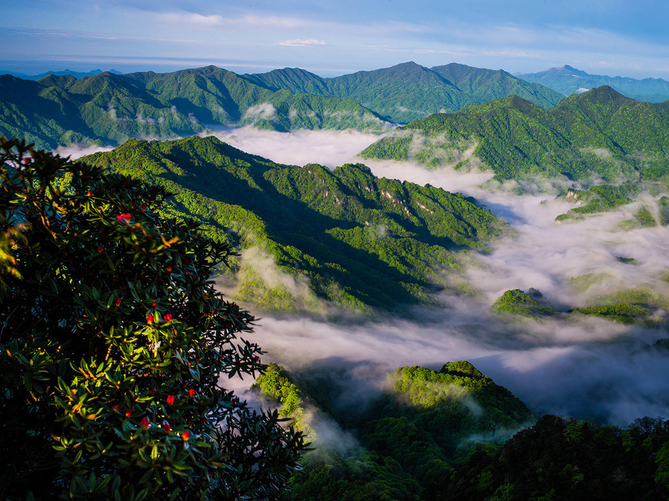 四川旅游五天需要多少钱,四川五日游旅游规划,避坑_峨眉山_成都_中国