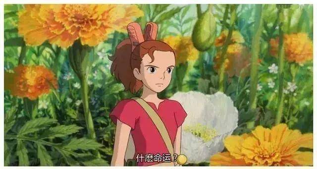 原创"什么命运?"_阿莉埃蒂_人类_阿里