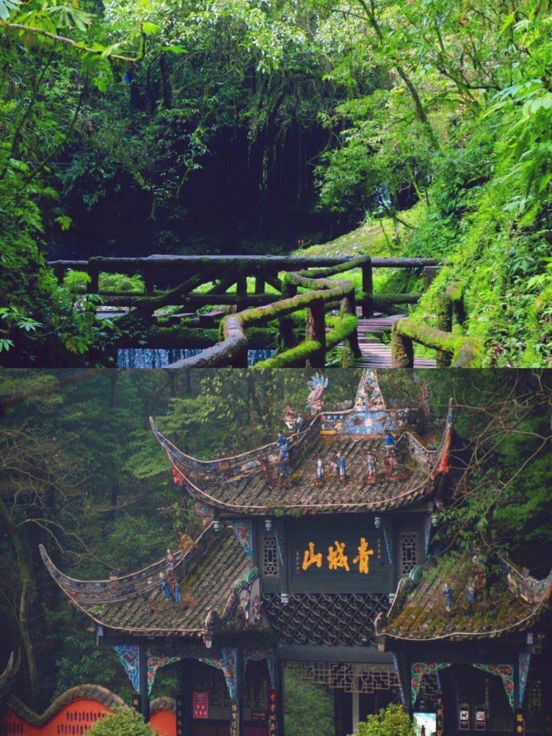 4月去成都熊猫基地5天4晚价格,青城山5日游大概价格