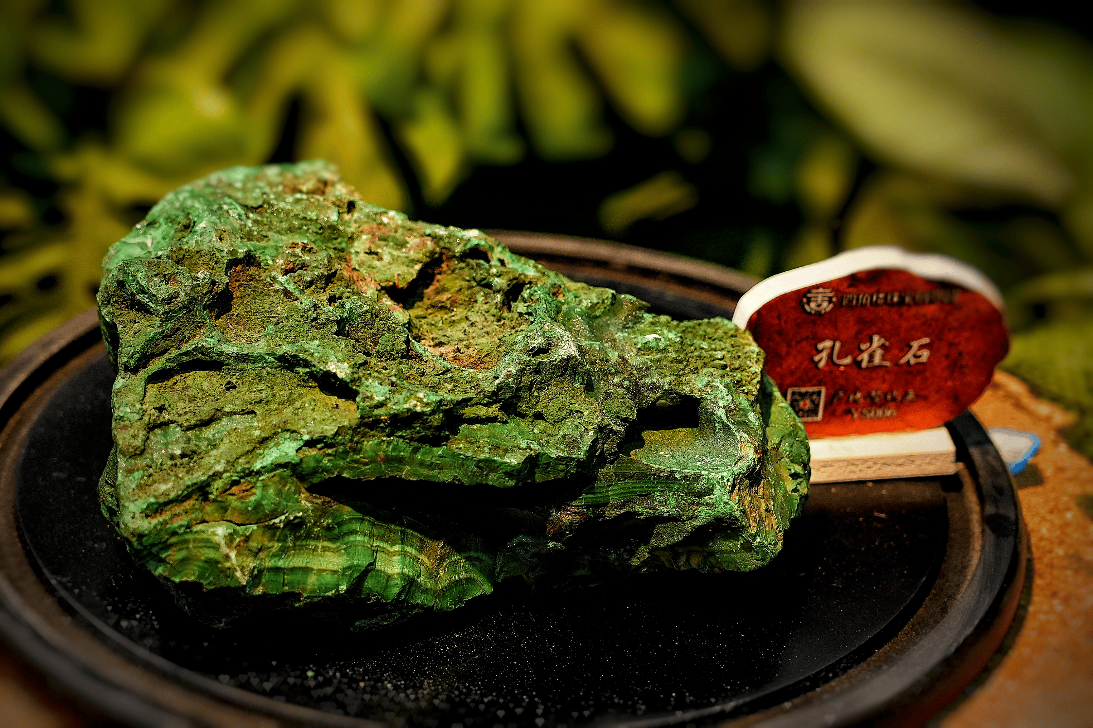 世界排名宝石和玉石哪个好(世界排名宝石和玉石哪个好一些) 第2张