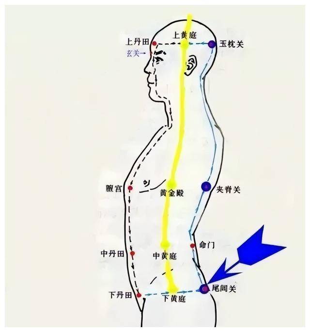 玉枕的准确位置图片图图片