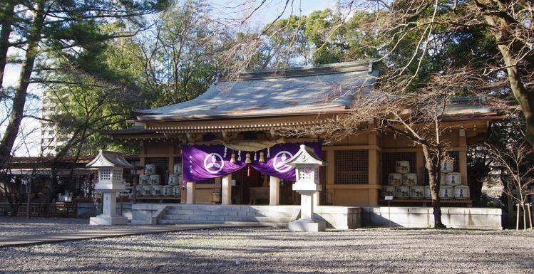 原创樱花武士文化之旅丨坂本龙马与高知实地追寻末代武士的历史足迹