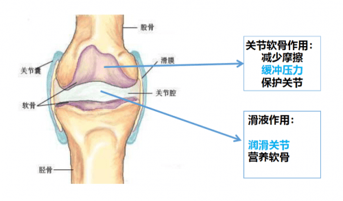 看看吃过的人是怎么说的