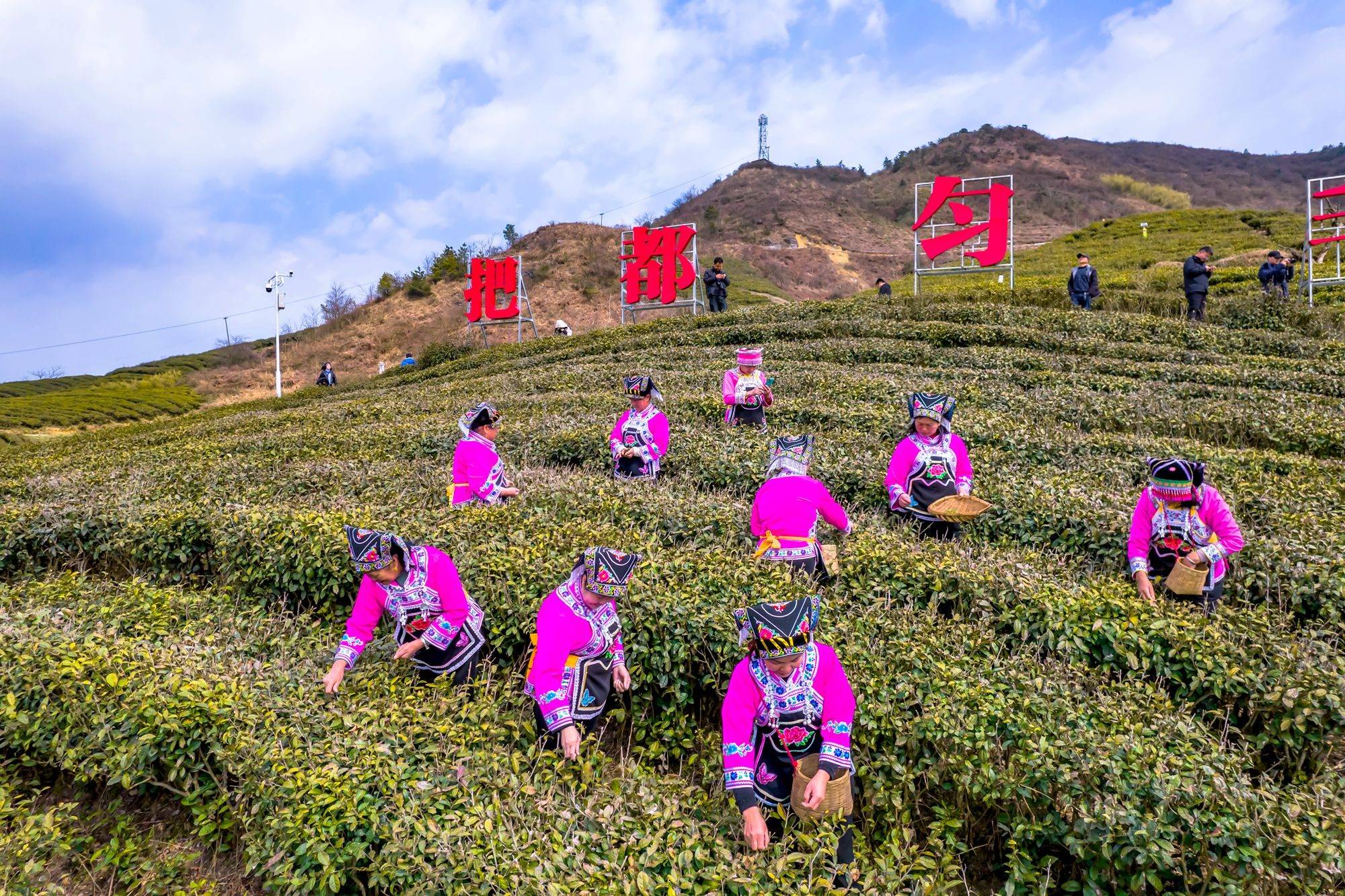 一个非常有特色的地方——都匀螺蛳壳山,这是一座以茶山为主体的景区