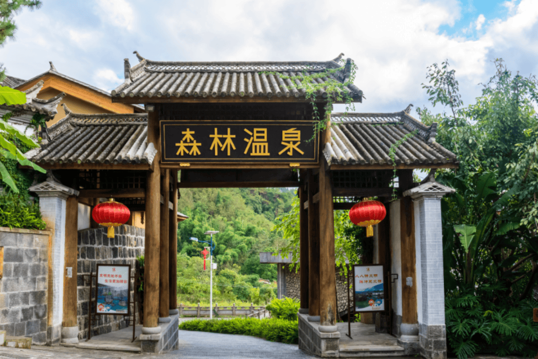 腾冲荷花温泉:以春之名,赴一场身心洗礼的温泉之旅