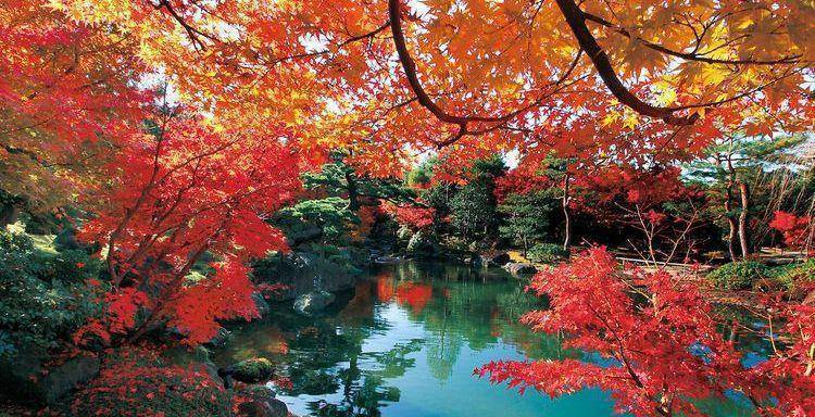 漫步在别出心裁的回游式日本庭园中,受枫叶,庭石,瀑布及石灯笼包围,别