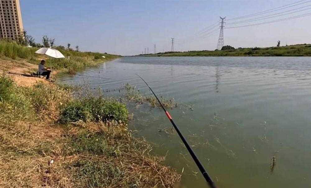 仲春时节野钓鲫鱼,这种钓法最优秀,鱼获丰硕且个头大