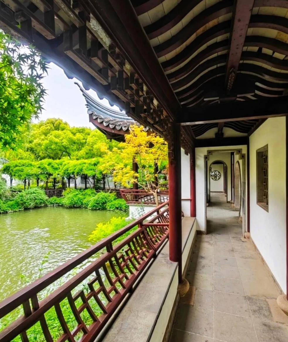 上海闵行古藤园宜人美景