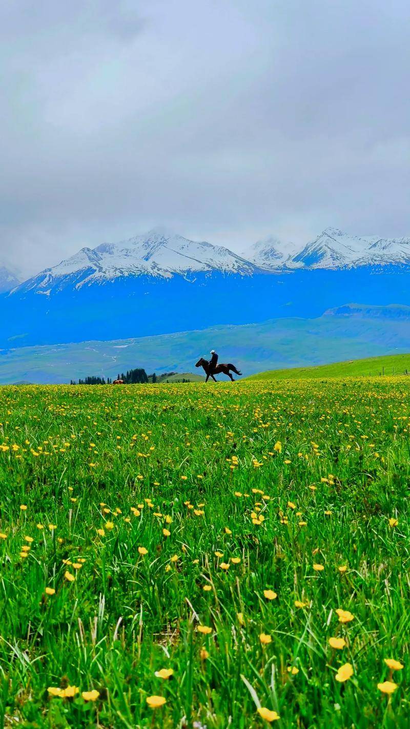 带孩子去新疆6天旅游攻略和行程费用夏塔六日游一家人花销